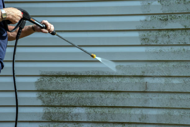 Best Gutter Cleaning  in Fincastle, TN